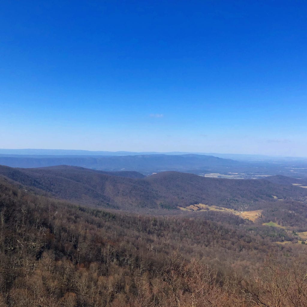 Best Day Hikes in Shenandoah