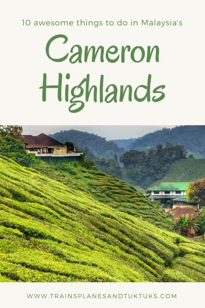 Ten Things To Do In The Cameron Highlands