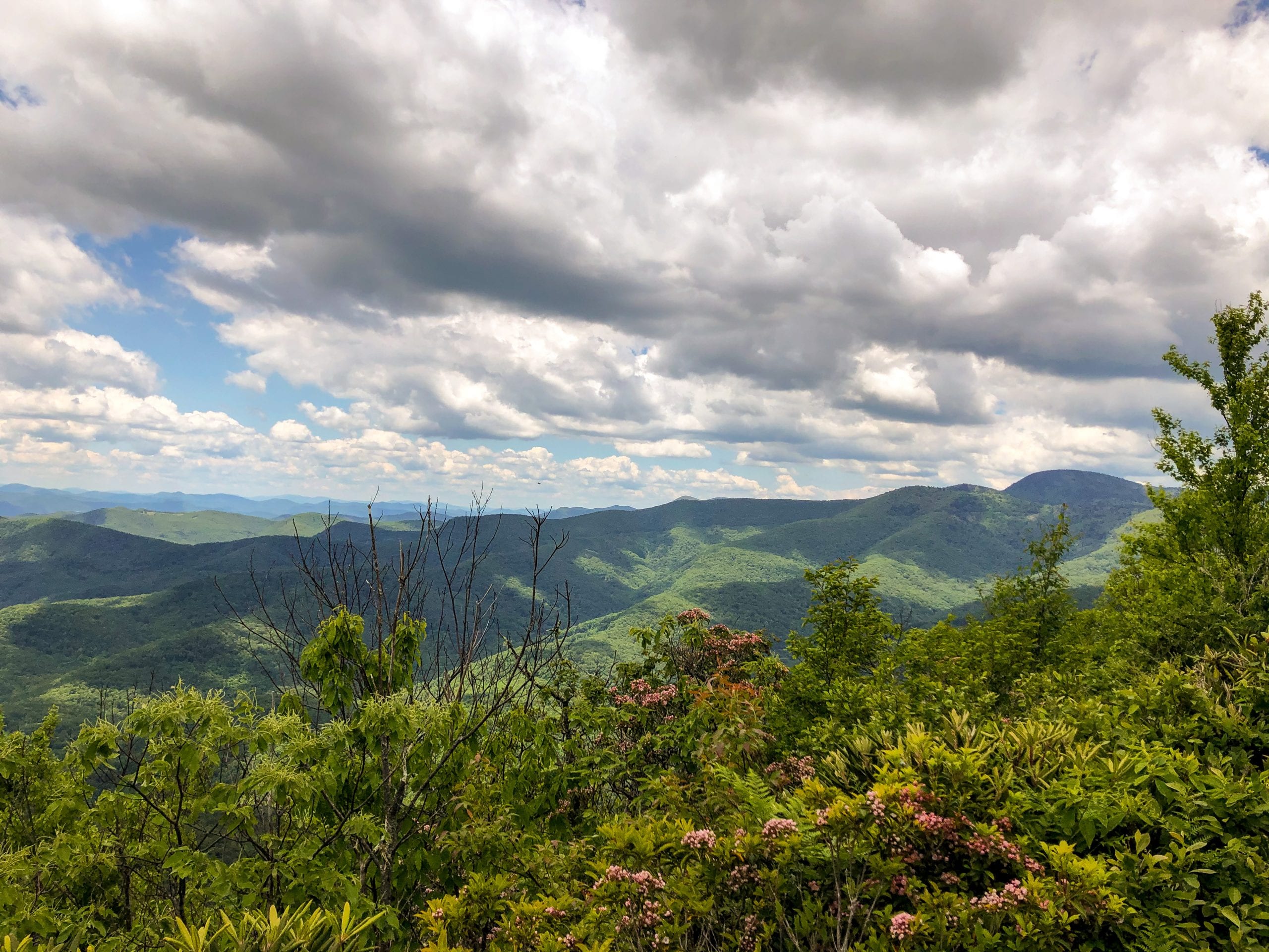 Hiking the Art Loeb Trail: The ULTIMATE Art Loeb backpacking guide