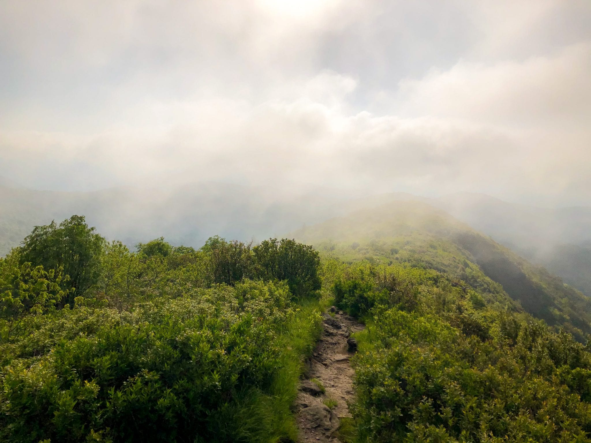 Hiking The Art Loeb Trail: The Ultimate Art Loeb Backpacking Guide