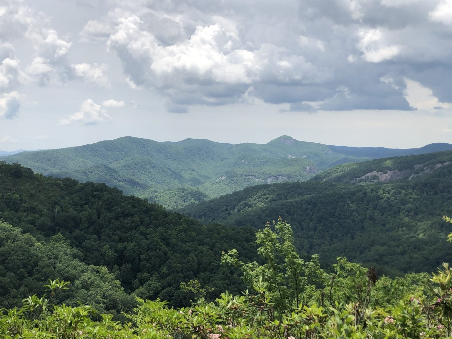 Easy hikes near Asheville NC: A local's guide to the best short trails