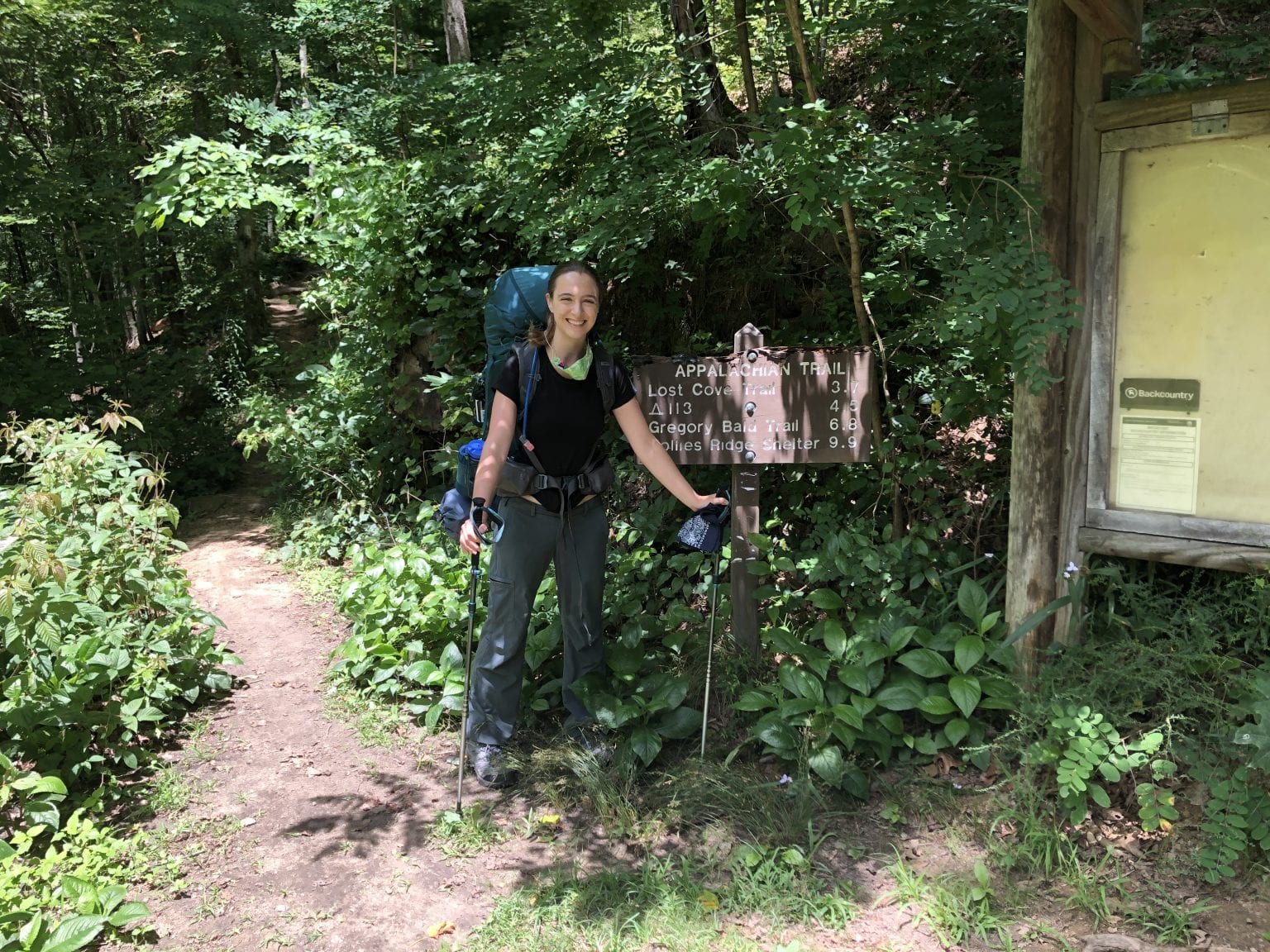 Backpacking in NC 3 best North Carolina backpacking trips near Asheville