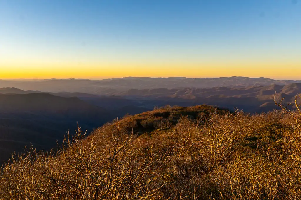 Craggy Pinnacle Trail on the Blue Ridge Parkway: Easy Asheville hike